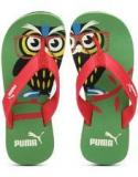 Puma Owl Jr Ind Green Flip Flops boys