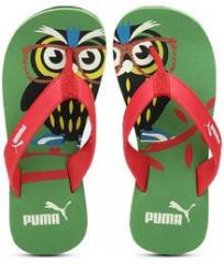 Puma Owl Jr Ind Green Flip Flops boys