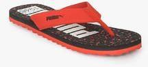 Puma Ray Idp Red Flip Flops women