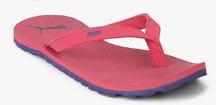 Puma Ribbons Idp Pink Flip Flops women