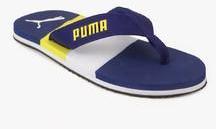 Puma Robby Idp Blue Flip Flops men