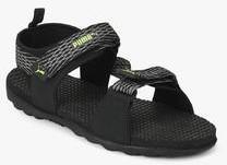 Puma Spectra Ipd Black Floaters men