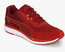 Puma Speed 500 Ignite 3 Red Running Shoes men