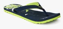 Puma Tide Idp Navy Blue Flip Flops women