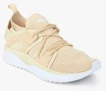 Puma Tsugi Blaze Evoknit Brown Sneakers men