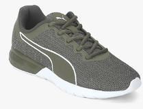 Puma Vigor Olive Running Shoes men