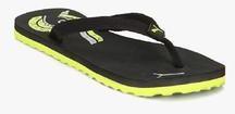 Puma Wave Ii Dp Black Flip Flops women