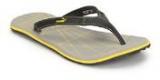 Puma Webster Grey Flip Flops Men