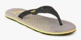 Puma Webster Ind. Grey Flip Flops men