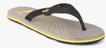 Puma Webster Ind. Grey Flip Flops men