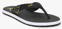 Puma Winglet Ii Dp Black Slippers men