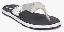 Puma Winglet Ii Dp Grey Slippers men