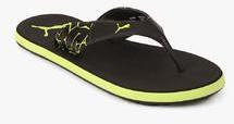 Puma Winglet Ii Idp Black Slippers men