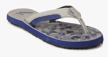 Puma Wrens Dp Grey Flip Flops men