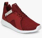 Puma Zod Runner Idp Maroon Running Shoes Men