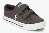 Ralph Lauren Harrison Ez Coffee Sneakers boys