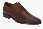 Red Tape Coffee Brown Oxfords Formal Shoes Men