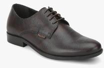 Red Tape Coffee Derby Formal Shoes men