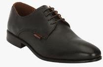 Red Tape Coffee Formal Shoes men