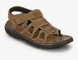 Red Tape Olive Sandals Men