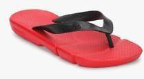 Reebok Fresco Flip Red Flip Flops men