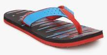 Reebok Style Flip Blue Flip Flops men