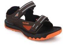 Reebok Trail Quanto Lp Brown Floaters men