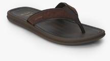 Rider Maiorca Ii Thong Ad Brown Flip Flops men