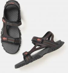 Roadster Brown Sports Sandals men