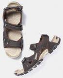 Roadster Coffee Brown Solid Sports Sandals Girls