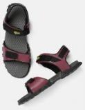 Roadster Maroon Sports Sandals Men