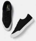 Roadster Men Black Sneakers