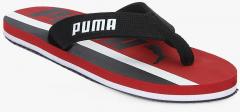 Robby Graphic X Dp Puma Black High Risk Black Slippers