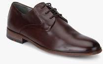 Ruosh Coffee Derby Formal Shoes men