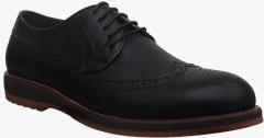 San Frissco Black Brogues Shoes men