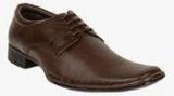 Sanfrissco Coffee Formal Shoes Men