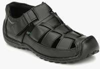 Sir Corbett Black Sandals men