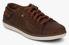 Skechers Sorino Pantalone Brown Sneakers men