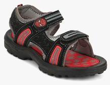 Spiderman Black Sandals boys