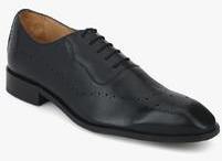 Steve Madden Autumn Black Brogue Oxford Formal Shoes men