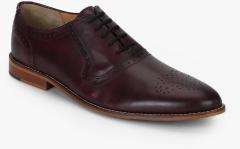 Steve Madden Burgundy Formal Shoes men