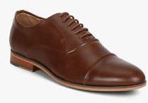 Steve Madden Dycon Brown Oxford Formal Shoes men