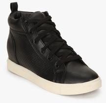 Steve Madden Lattee Black Casual Sneakers women