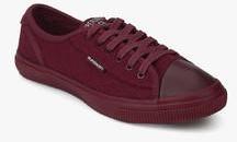 Superdry Maroon Low Pro Luxe Casual Sneakers men