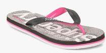 Superdry Scuba Marl Grey Flip Flops women