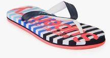 Superdry Stripe Navy Blue Flip Flops women