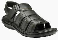 Teakwood Black Sandals men