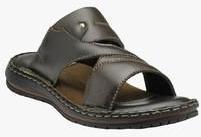 Teakwood Brown Slippers men