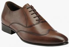 Teakwood Leathers Brown Solid Oxfords men