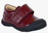 Teddy Toes Maroon Sneakers Boys